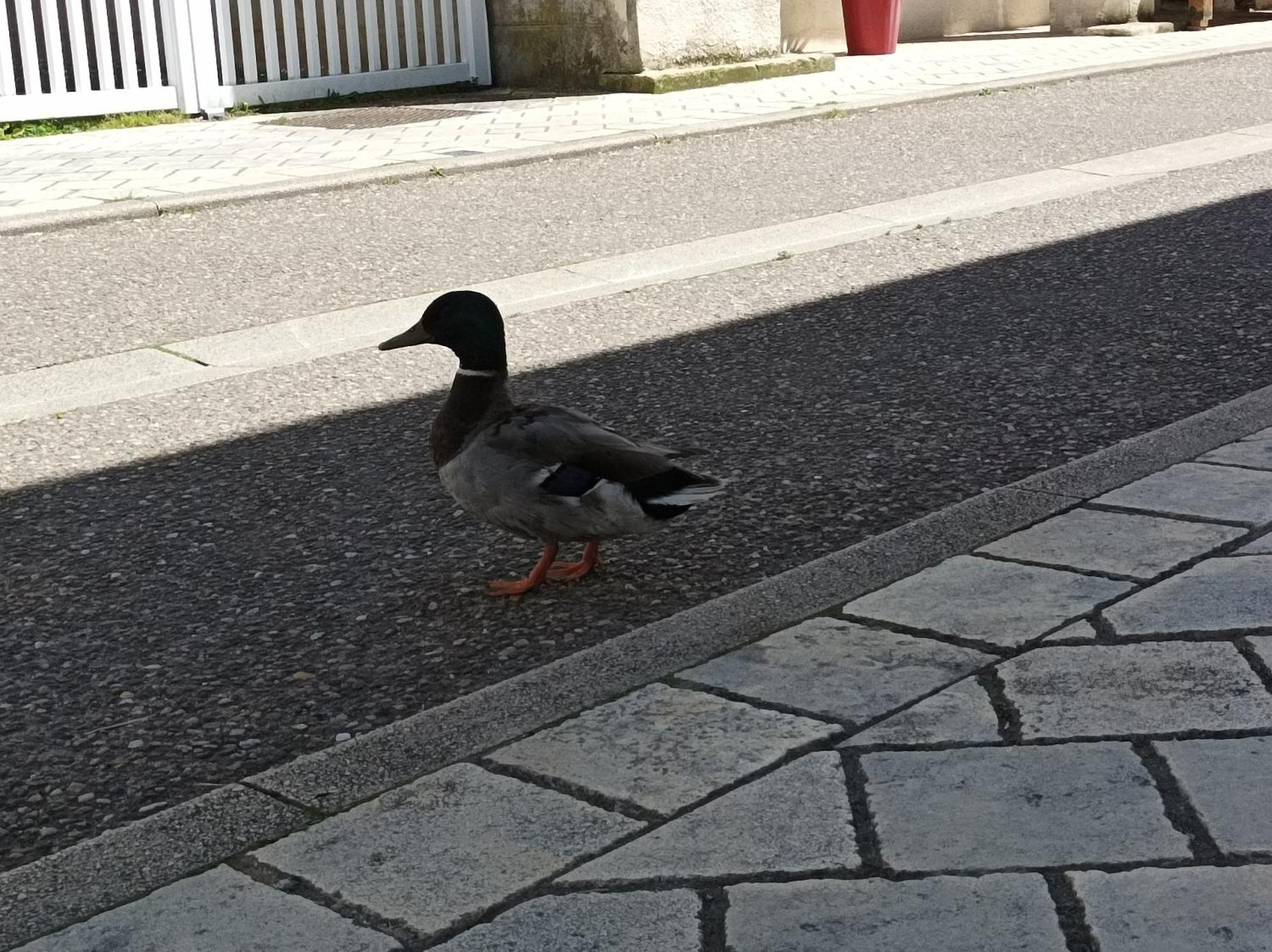 La Maison Au Bord De L'Eau Gracay Eksteriør bilde