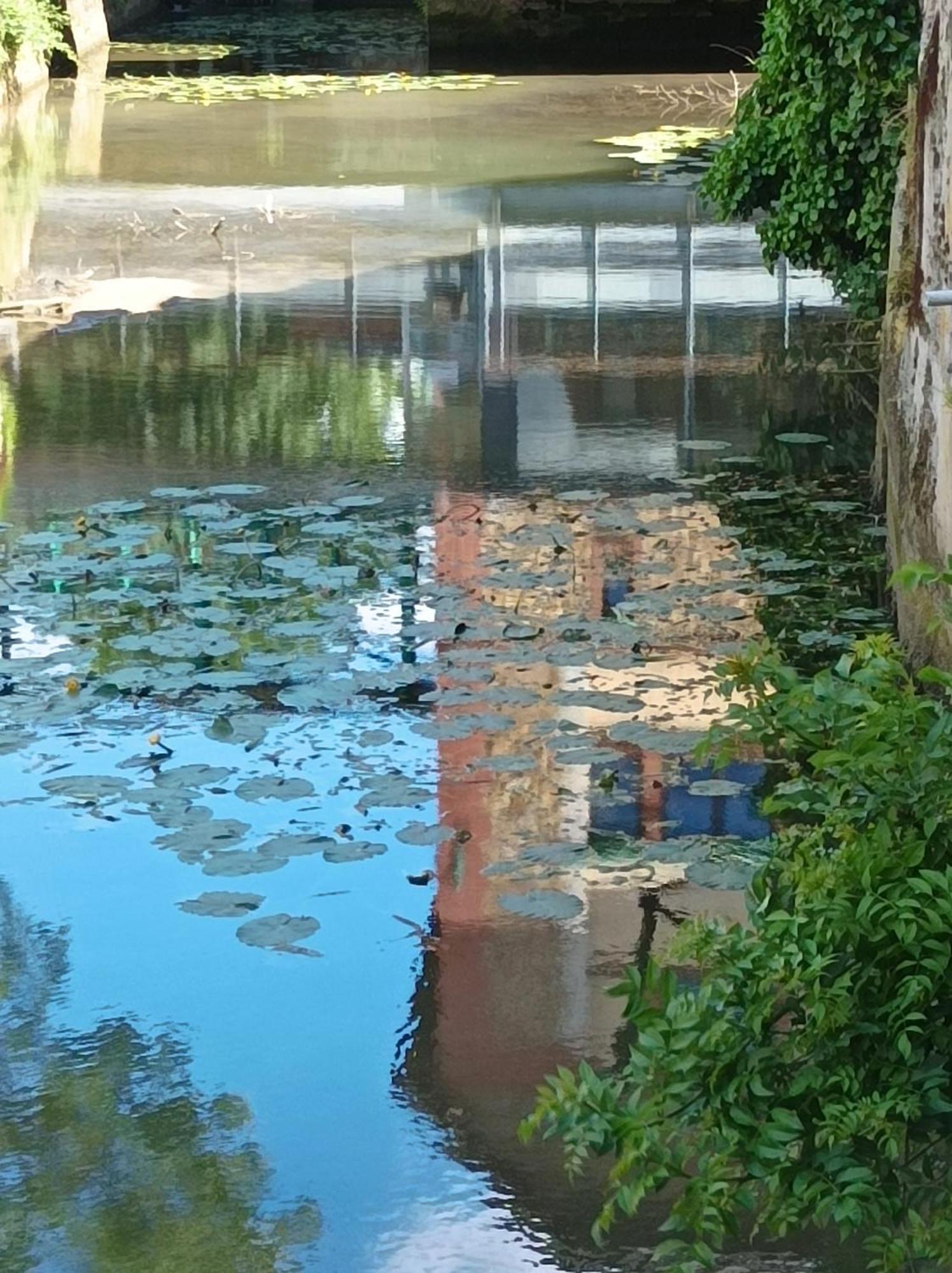 La Maison Au Bord De L'Eau Gracay Eksteriør bilde